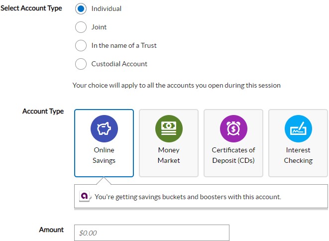 Ally application select account type