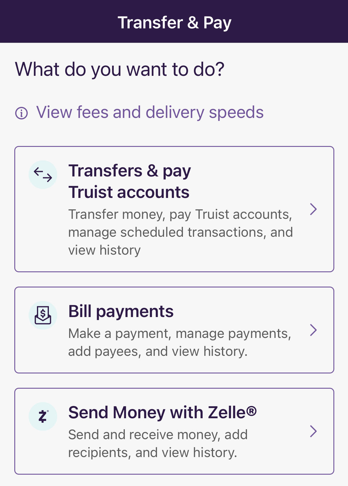 Truist Transfer And Pay Options